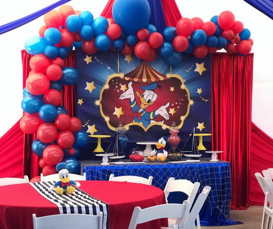 Donald Duck Theme Decor 1