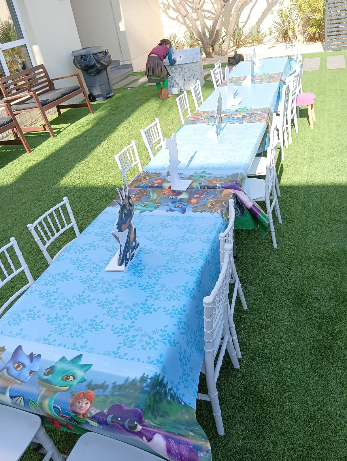 Dragon Rescue Riders Theme Decor