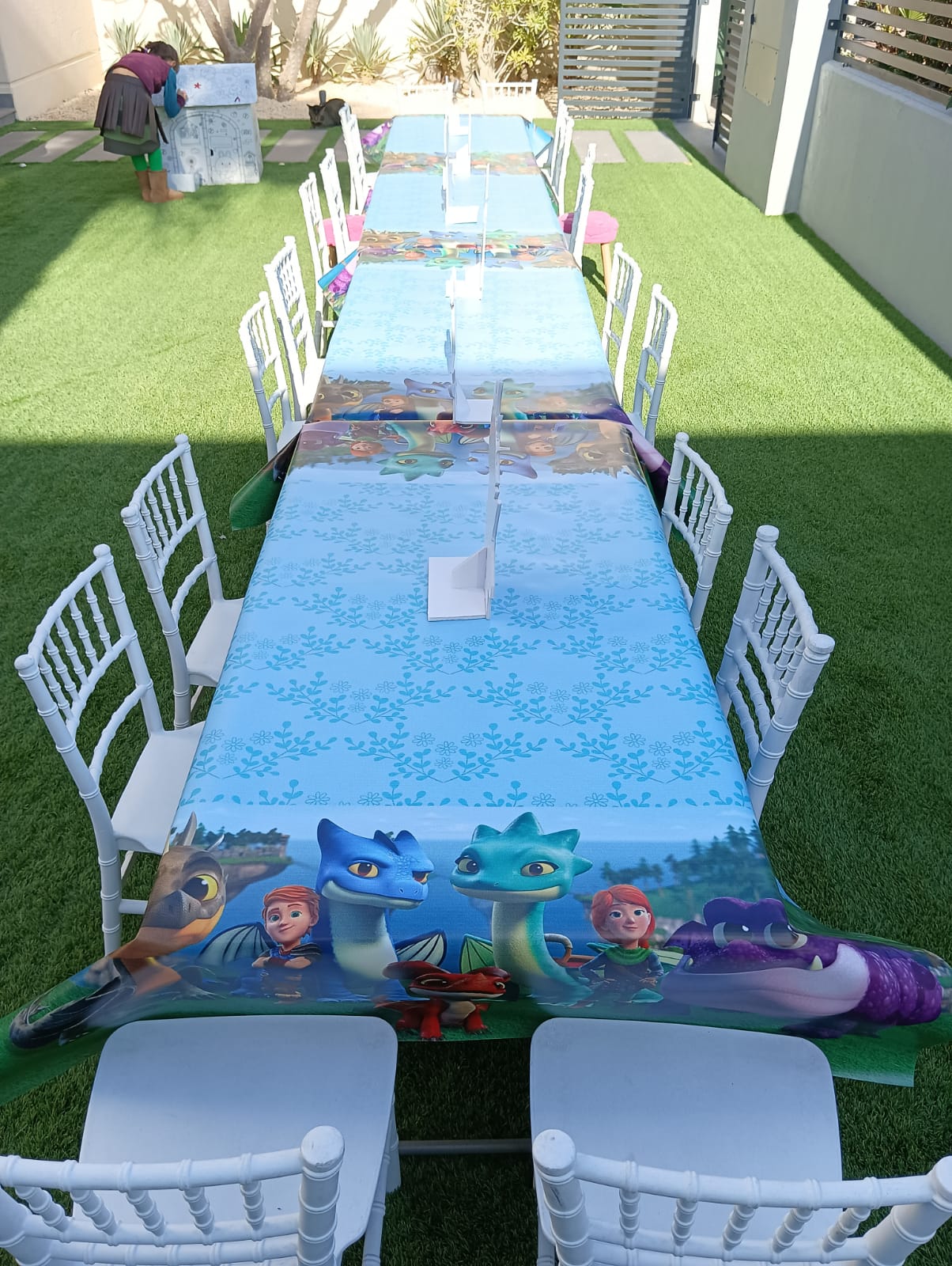 Dragon Rescue Riders Theme Decor