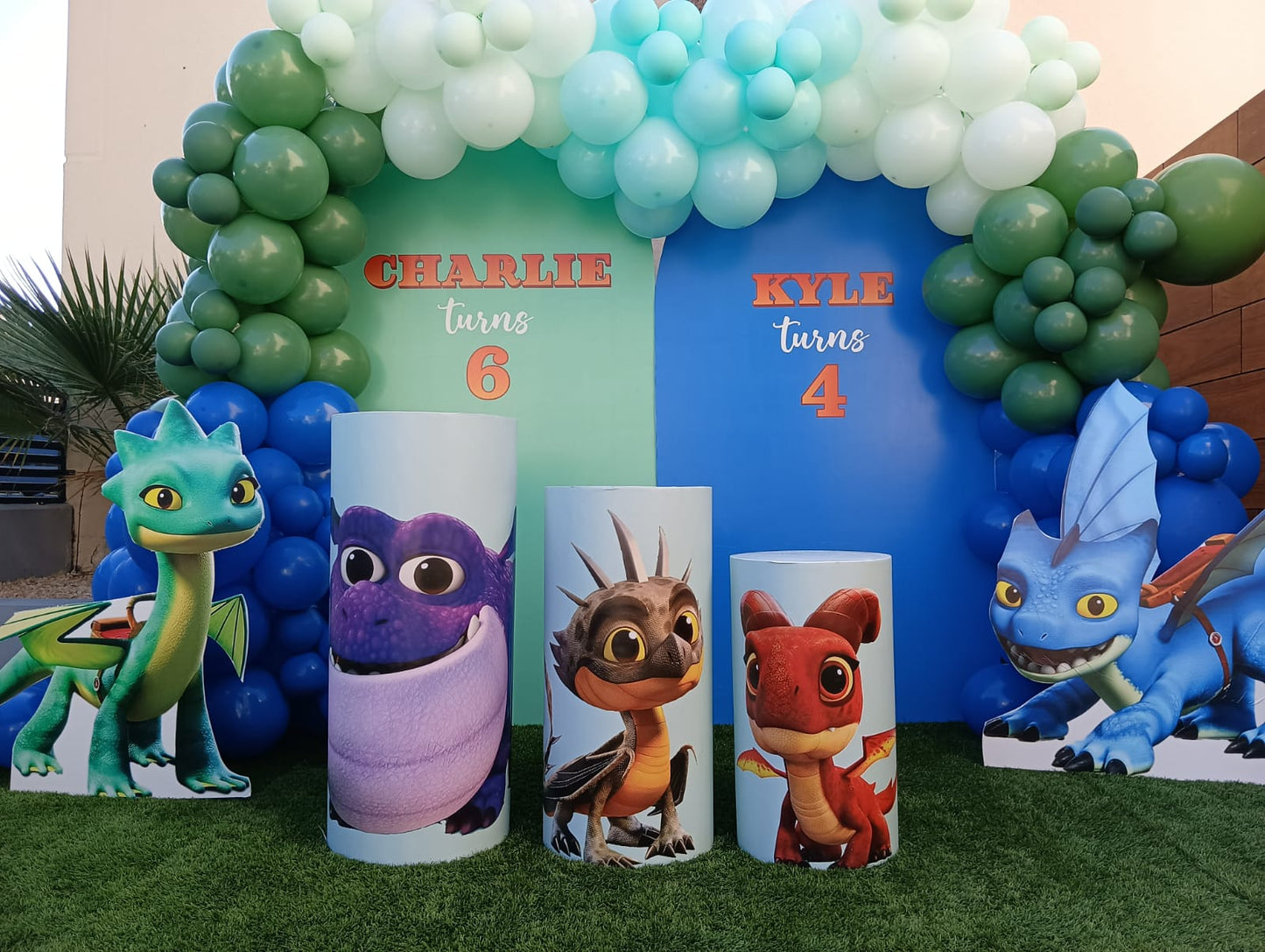 Dragon Rescue Riders Theme Decor
