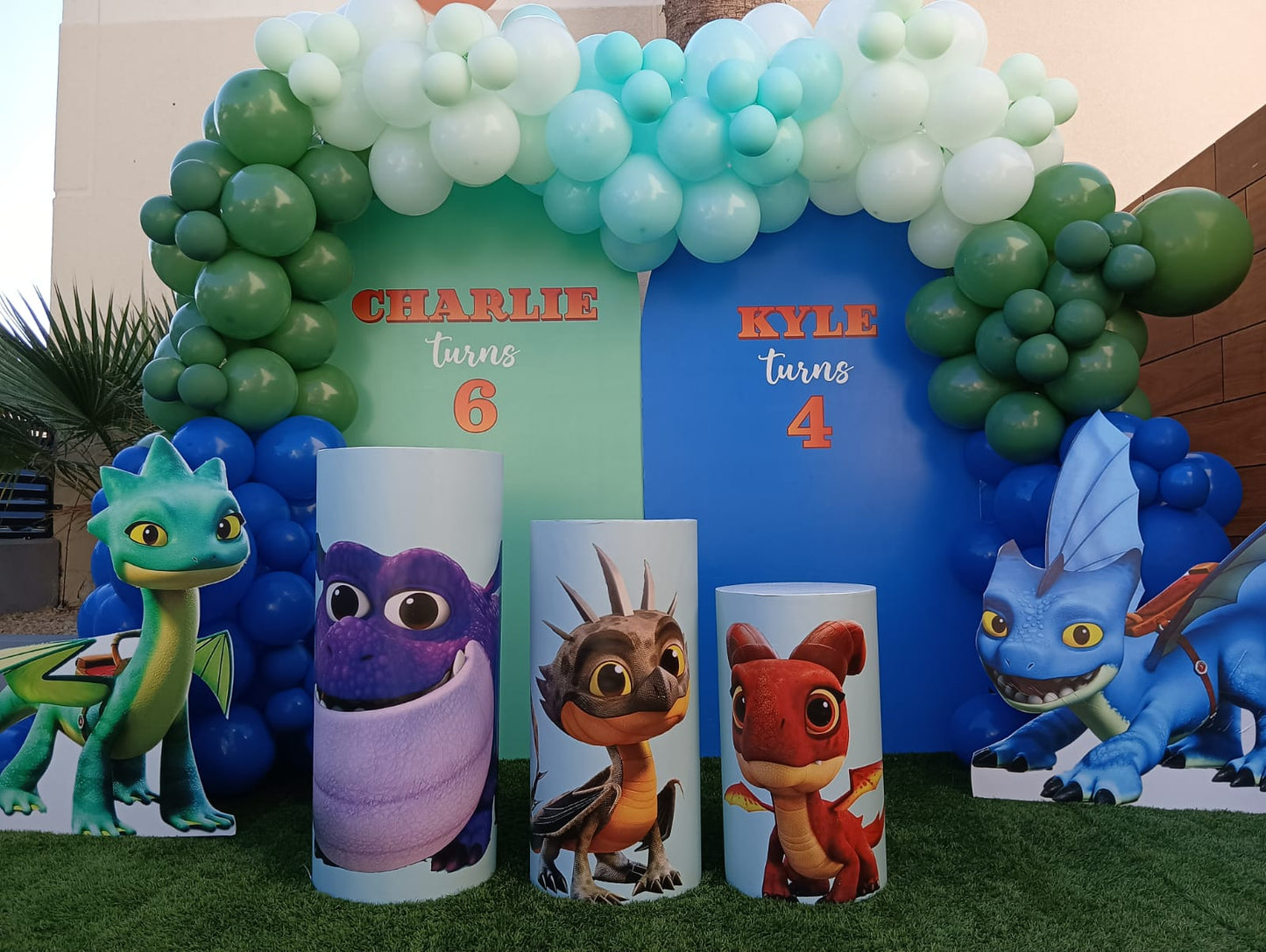 Dragon Rescue Riders Theme Decor