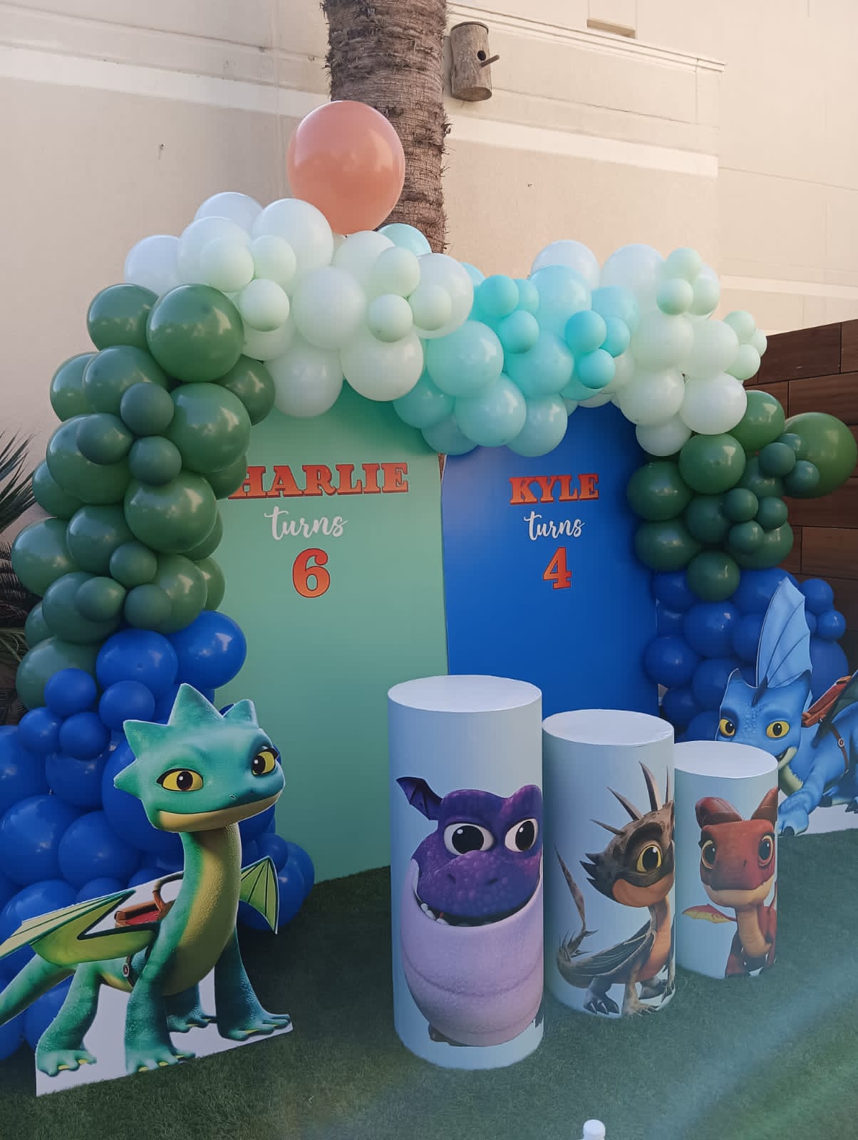 Dragon Rescue Riders Theme Decor