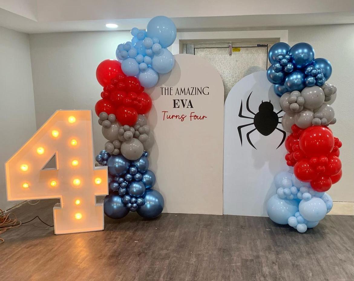 Eva Spider Theme Birthday Decor