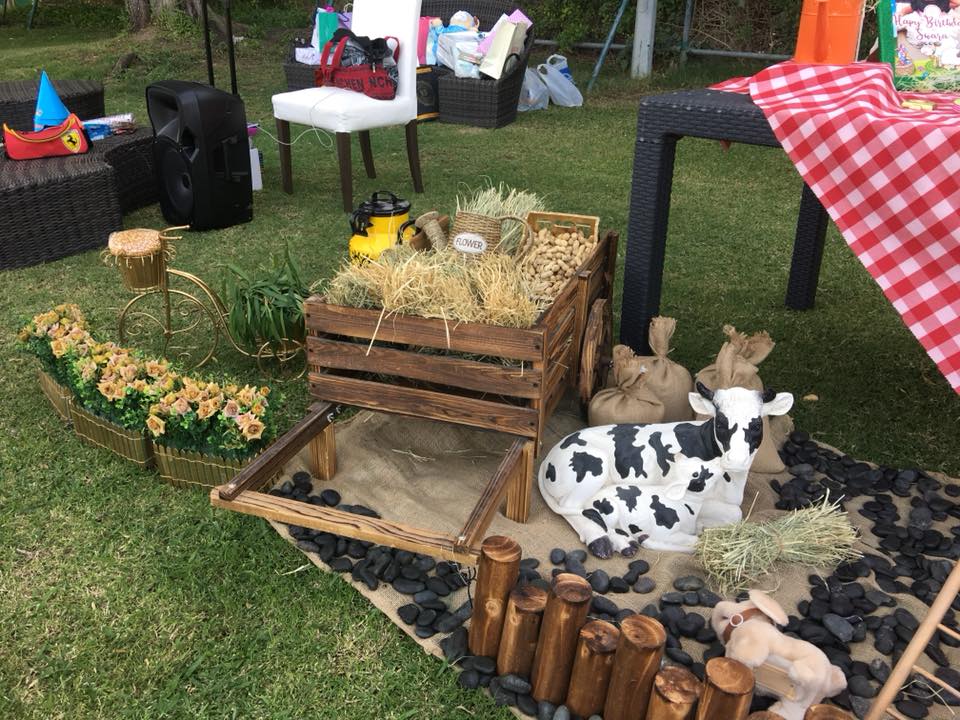 Farm Theme Decoration