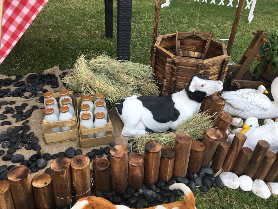 Farm Theme Decoration