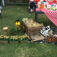 Farm Theme Decoration