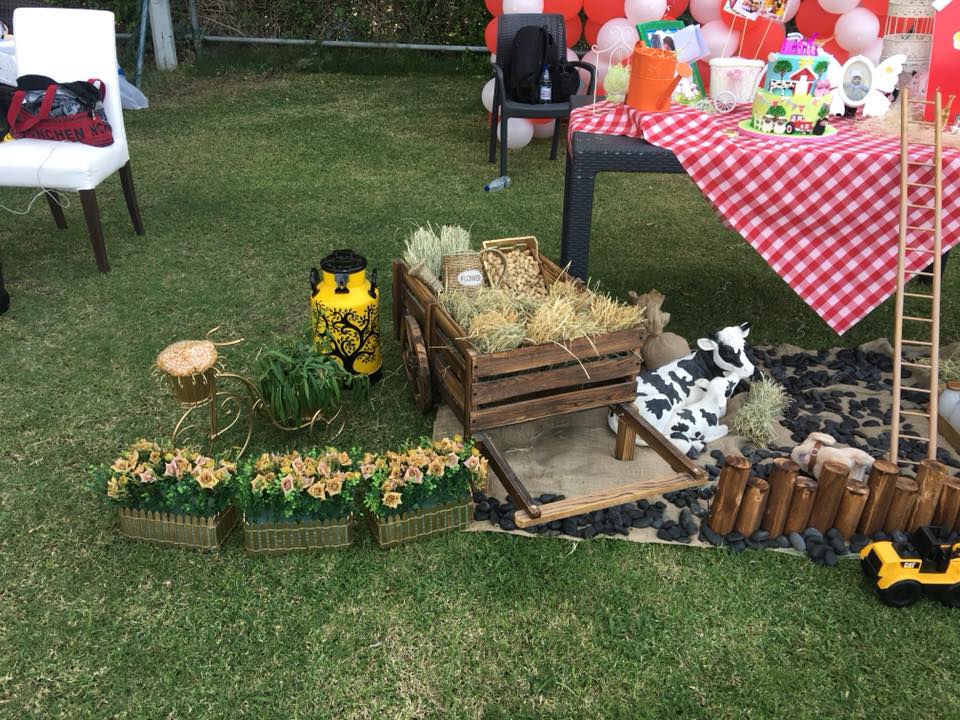 Farm Theme Decoration