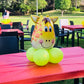 Farm Theme Decoration
