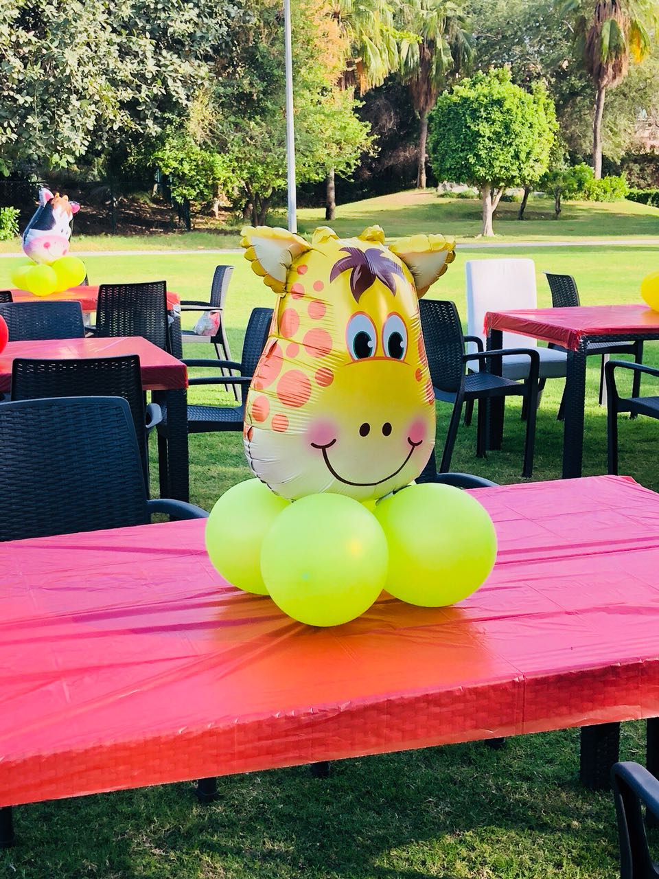 Farm Theme Decoration