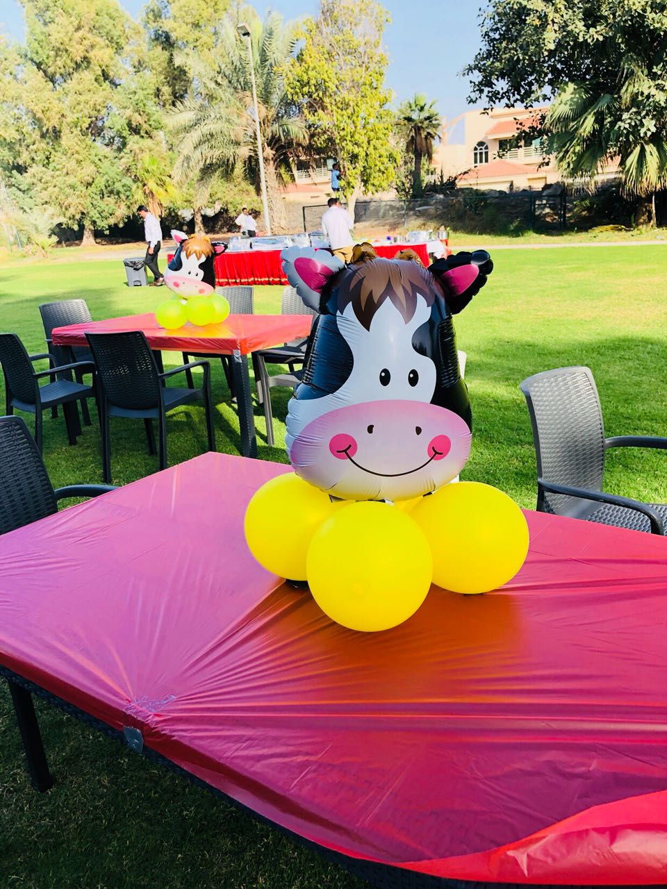 Farm Theme Decoration
