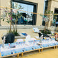 Frozen Theme Birthday Decor