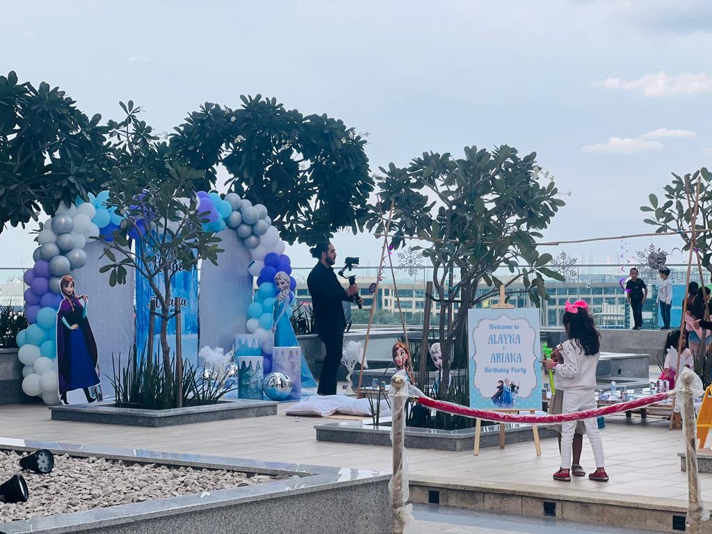 Frozen Theme Birthday Decor
