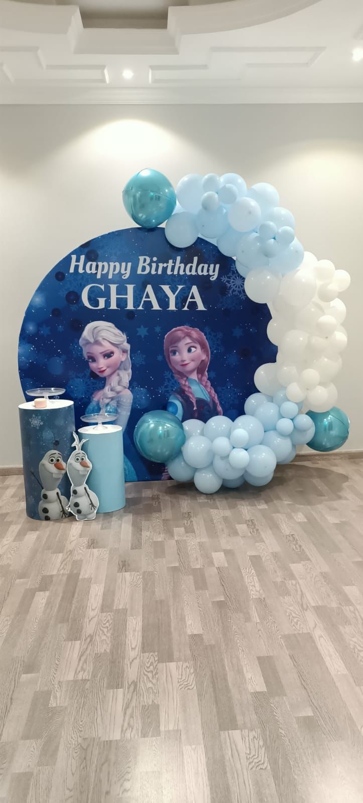 Frozen Theme