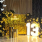 Graduation Theme Party Decor 3