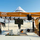 Halloween Festival Celebration