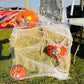 Halloween Festival Celebration