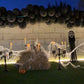 Halloween 3