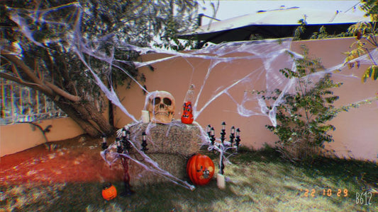 Halloween Party Decor 1