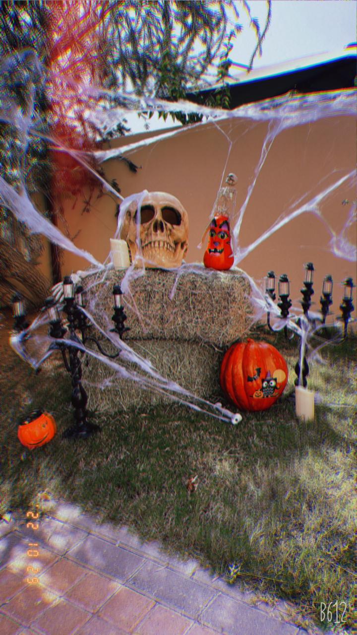 Halloween Party Decor 1