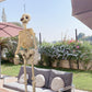 Halloween Party Decor 1