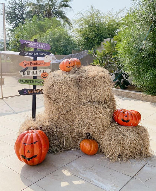Halloween Party Decor 3