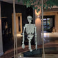 Halloween Party Decor
