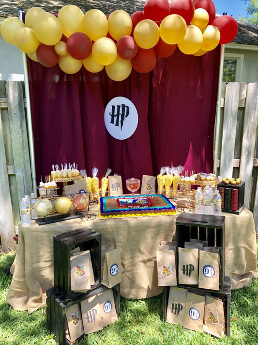 Harry Potter Birthday Decor 6
