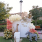 Jungle Theme Birthday Decor