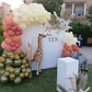 Jungle Theme Birthday Decor