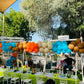 Jungle Theme New Birthday Decor