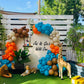 Jungle Theme New Birthday Decor