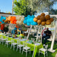 Jungle Theme New Birthday Decor