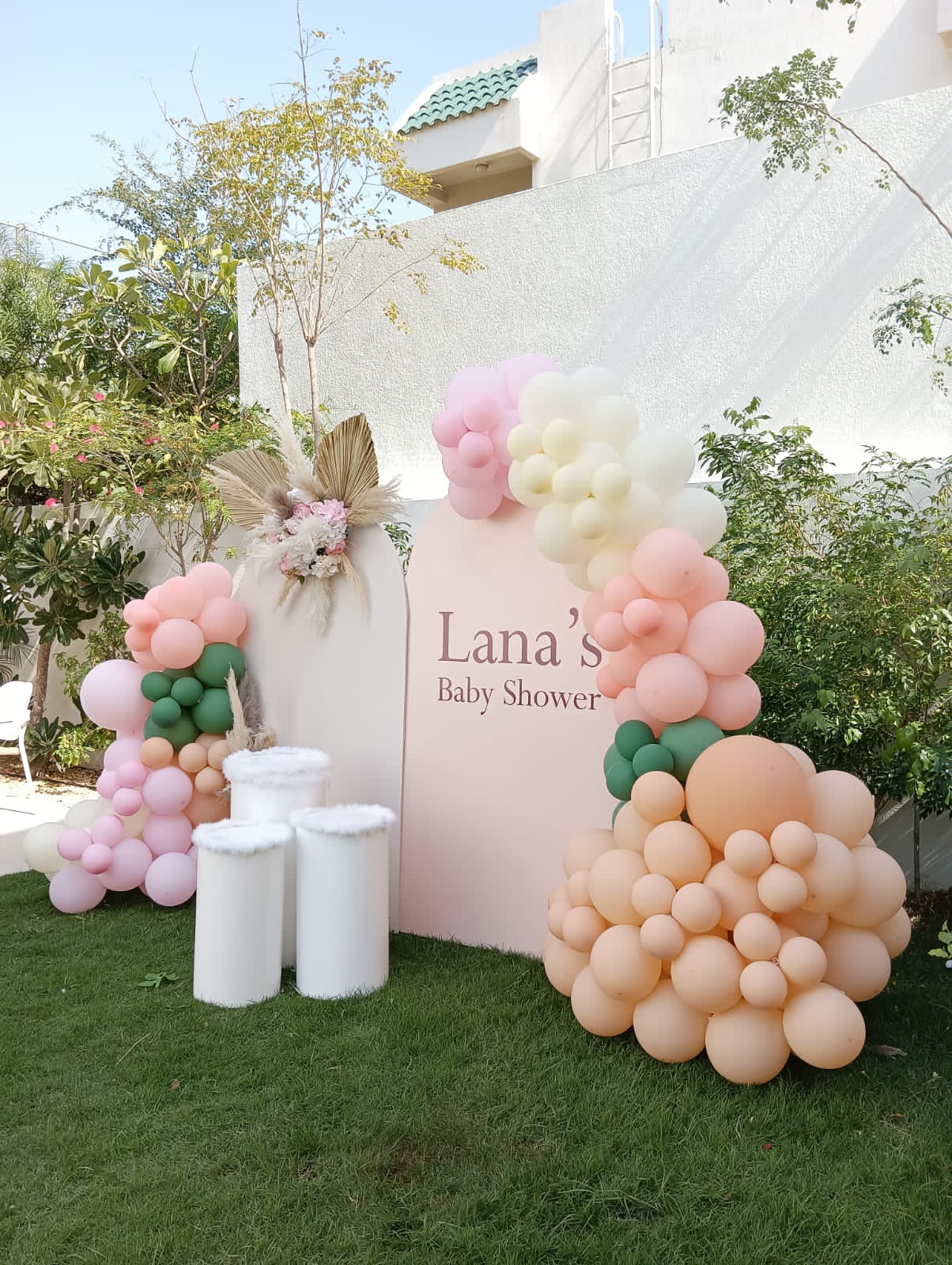 Lana Baby Shower Theme Decor