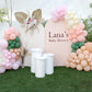 Lana Baby Shower Theme Decor