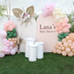 Lana Baby Shower Theme Decor