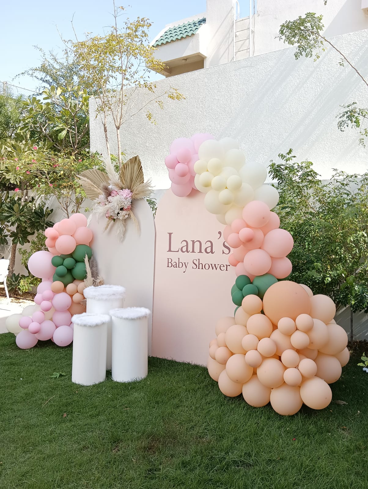 Lana Baby Shower Theme Decor
