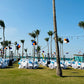Large Party Decor