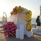 Malak 30th Birthday Decor