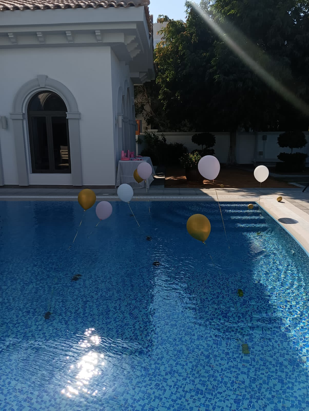 Malak Pool Birthday Decor