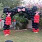 Minnie Mouse Arch Decor