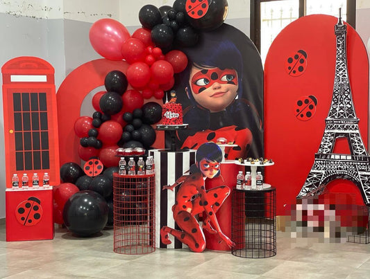 Miraculous Ladybug Theme Decor 7