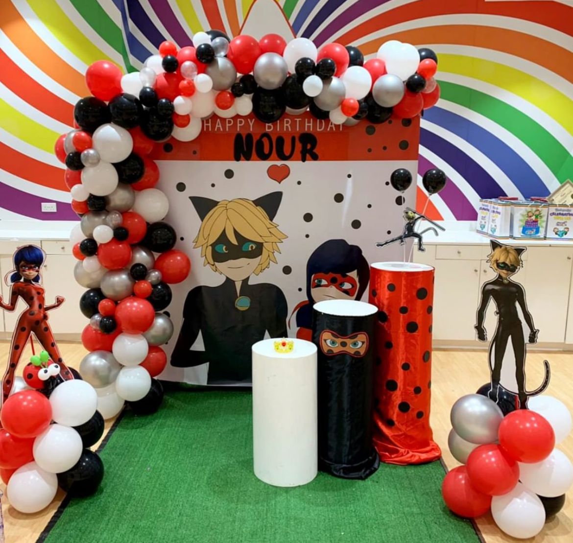 Miraculous Ladybug Theme Decor 1