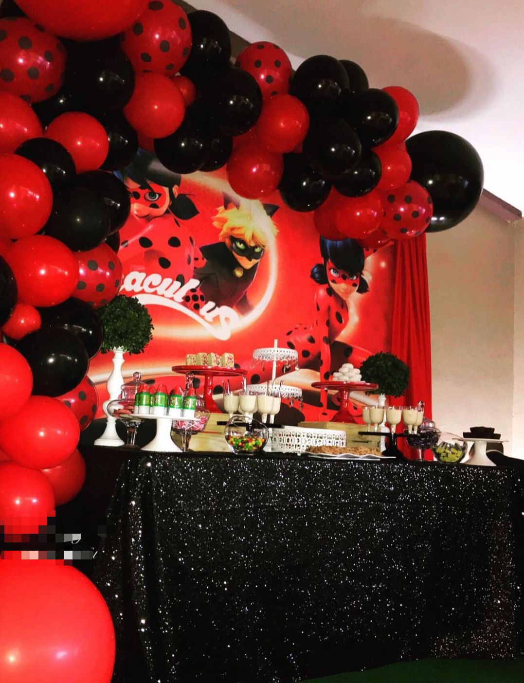 Miraculous Ladybug Theme Decor 2