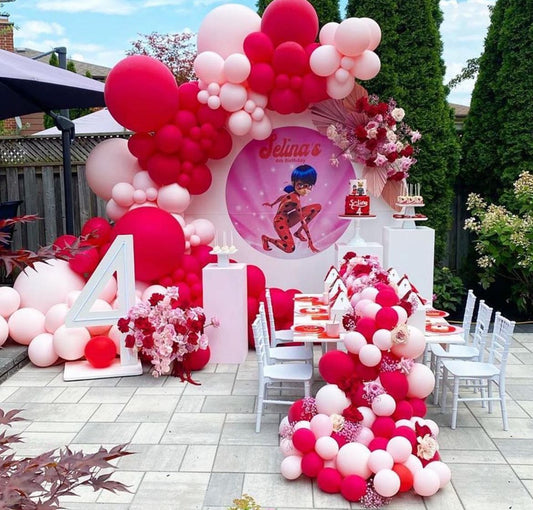 Miraculous Ladybug Theme Decor 3