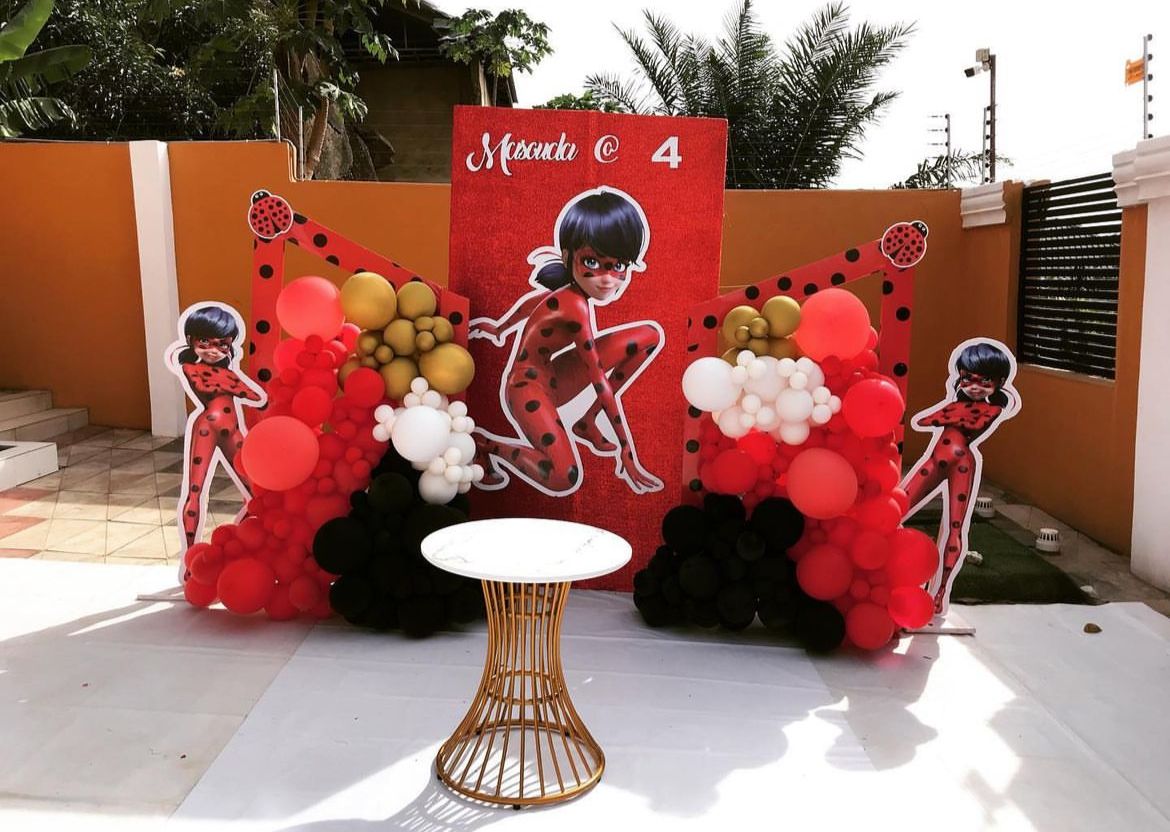 Miraculous Ladybug Theme Decor 5