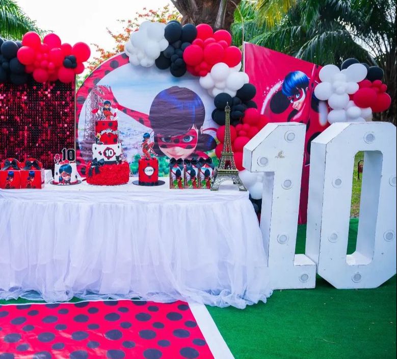 Miraculous Ladybug Theme Decor 4