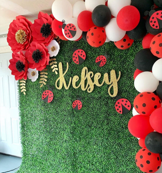 Miraculous Ladybug Theme Decor 6