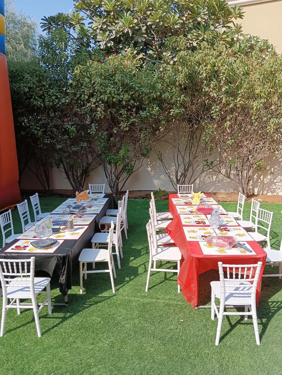 Pokemon Theme Birthday Decor