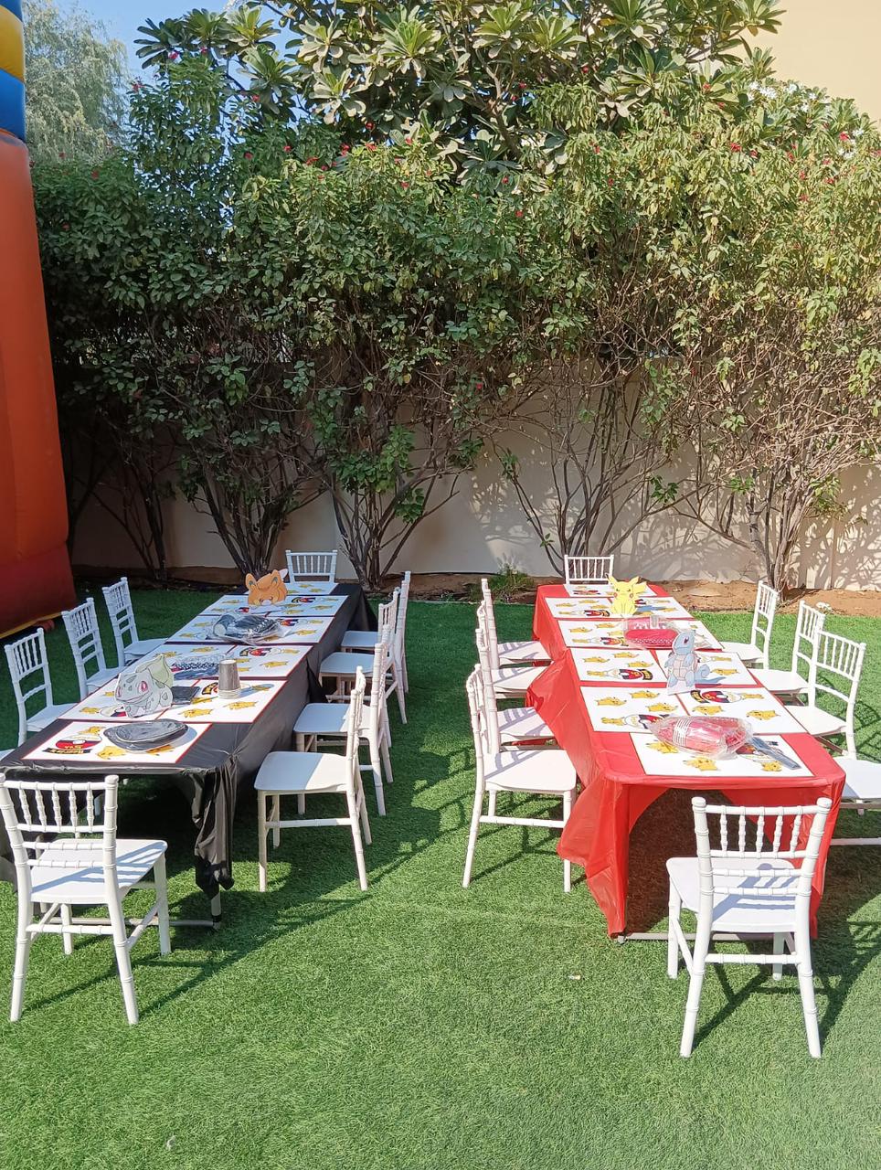 Pokemon Theme Birthday Decor