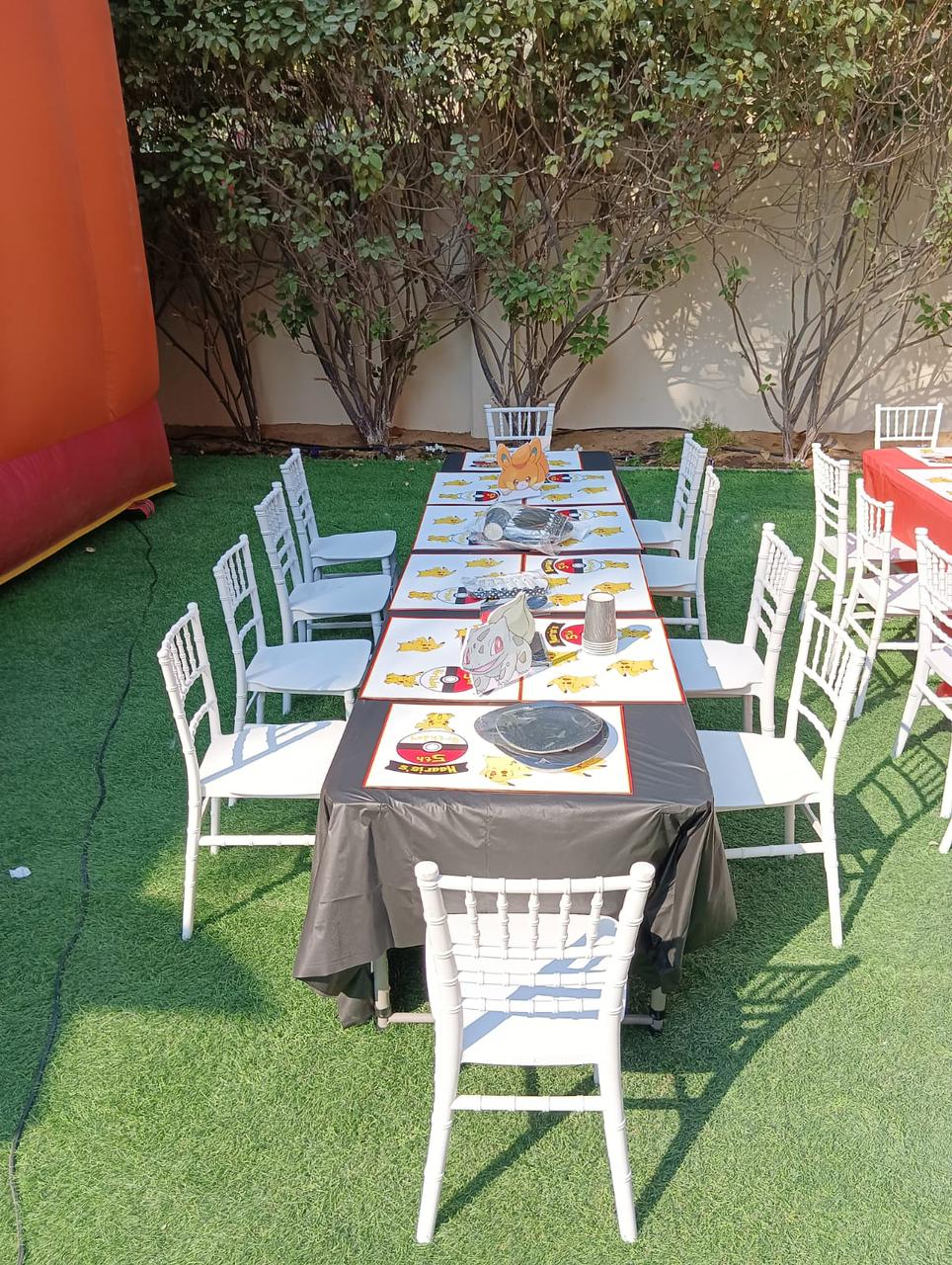 Pokemon Theme Birthday Decor